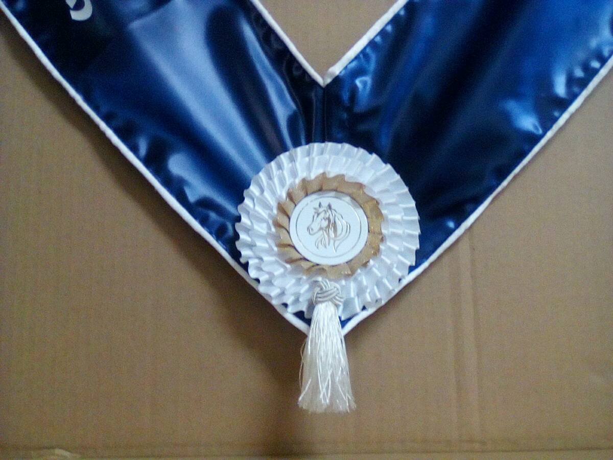 Pony Sash, 2m - Image 2