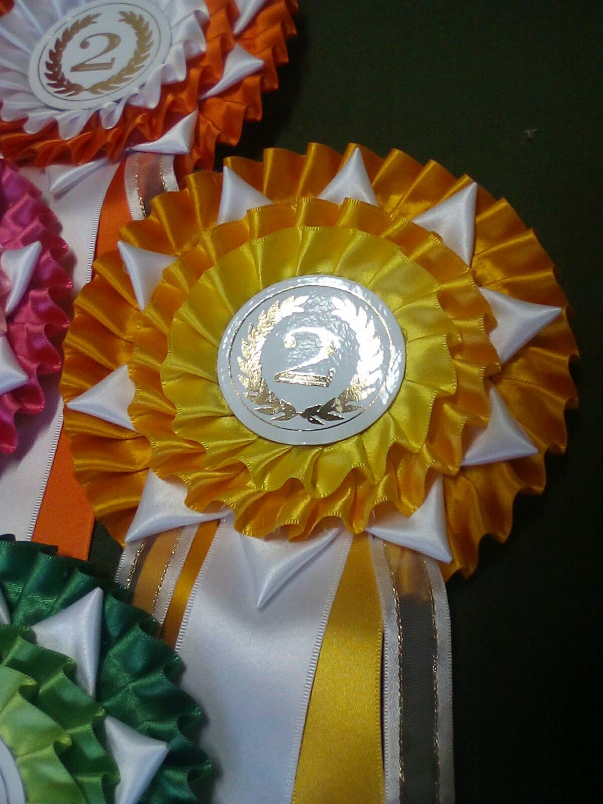 Colette Rosettes - Image 2